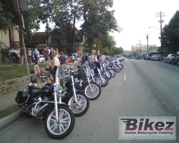 2003 Harley-Davidson FXDL Dyna Low Rider photo